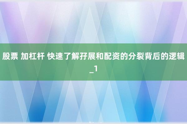 股票 加杠杆 快速了解孖展和配资的分裂背后的逻辑_1