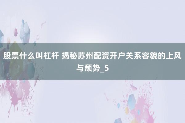 股票什么叫杠杆 揭秘苏州配资开户关系容貌的上风与颓势_5