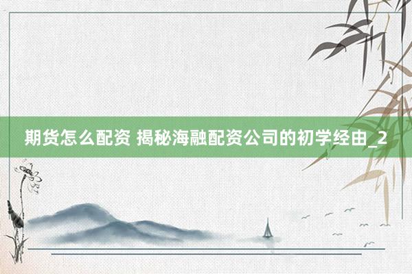 期货怎么配资 揭秘海融配资公司的初学经由_2