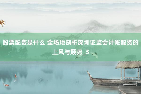 股票配资是什么 全场地剖析深圳证监会计帐配资的上风与颓势_3