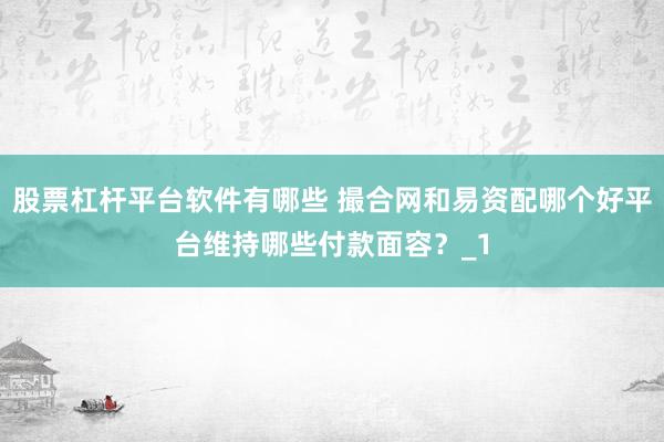 股票杠杆平台软件有哪些 撮合网和易资配哪个好平台维持哪些付款面容？_1