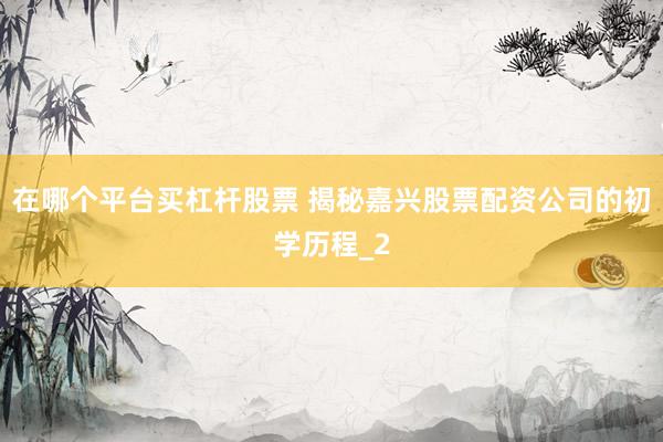 在哪个平台买杠杆股票 揭秘嘉兴股票配资公司的初学历程_2