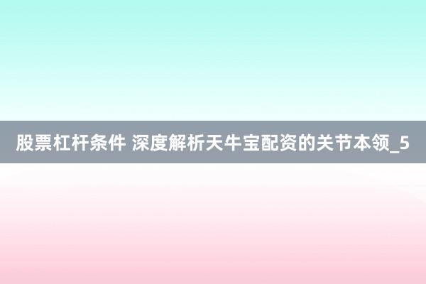股票杠杆条件 深度解析天牛宝配资的关节本领_5