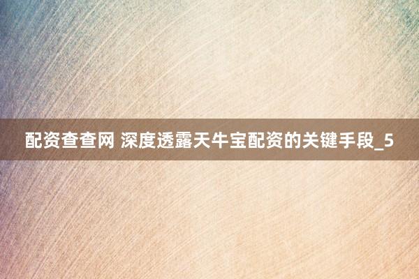 配资查查网 深度透露天牛宝配资的关键手段_5