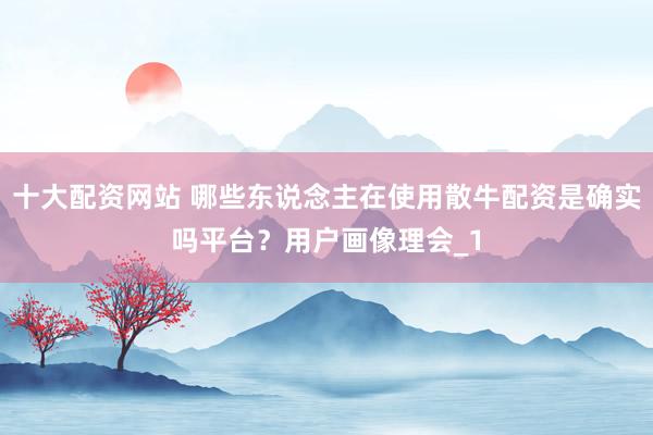 十大配资网站 哪些东说念主在使用散牛配资是确实吗平台？用户画像理会_1