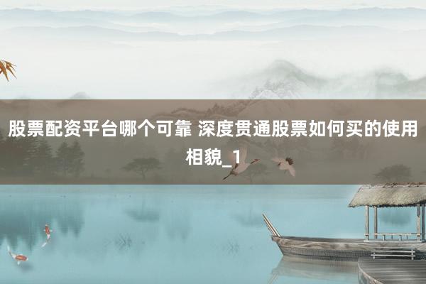 股票配资平台哪个可靠 深度贯通股票如何买的使用相貌_1