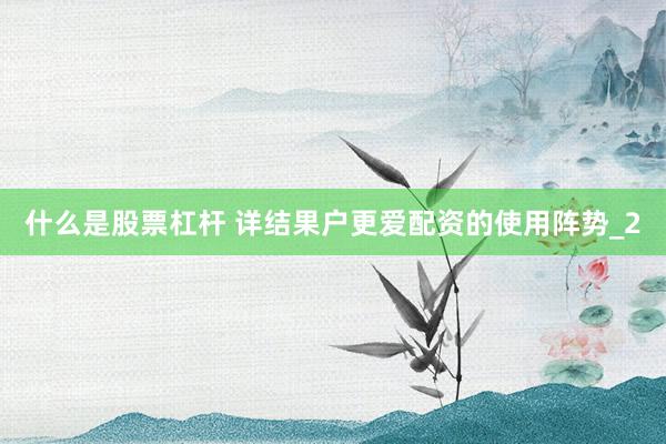 什么是股票杠杆 详结果户更爱配资的使用阵势_2