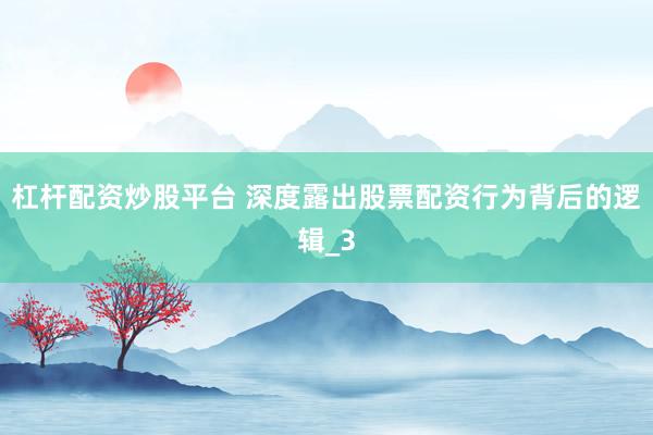 杠杆配资炒股平台 深度露出股票配资行为背后的逻辑_3