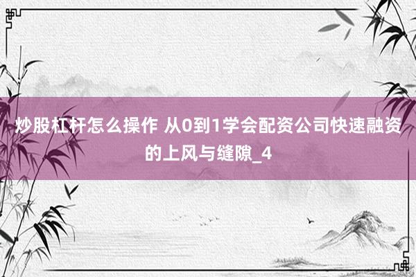 炒股杠杆怎么操作 从0到1学会配资公司快速融资的上风与缝隙_4