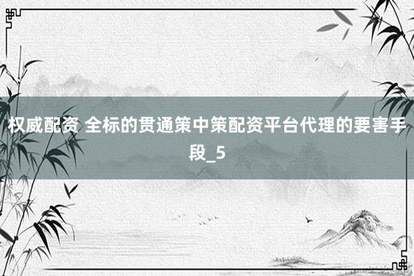 权威配资 全标的贯通策中策配资平台代理的要害手段_5