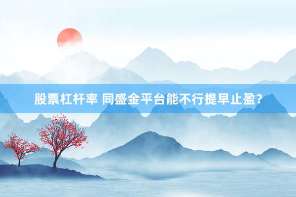 股票杠杆率 同盛金平台能不行提早止盈?