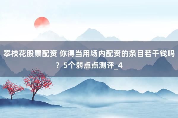 攀枝花股票配资 你得当用场内配资的条目若干钱吗？5个弱点点测评_4