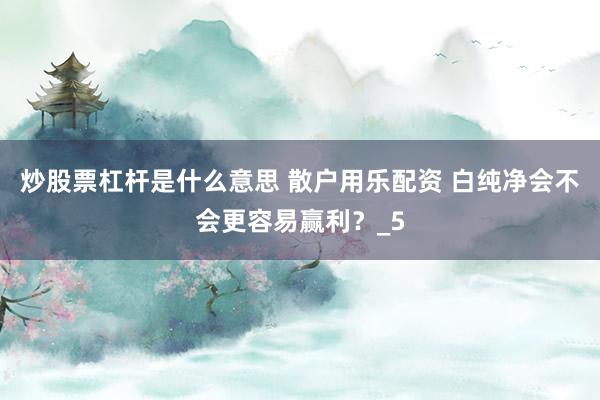 炒股票杠杆是什么意思 散户用乐配资 白纯净会不会更容易赢利？_5