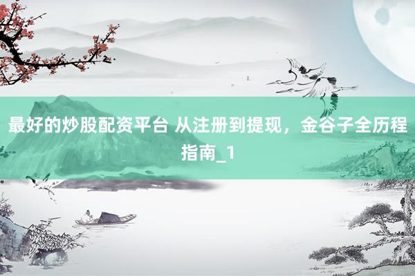 最好的炒股配资平台 从注册到提现，金谷子全历程指南_1