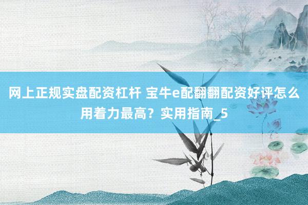 网上正规实盘配资杠杆 宝牛e配翻翻配资好评怎么用着力最高?实用指南_5