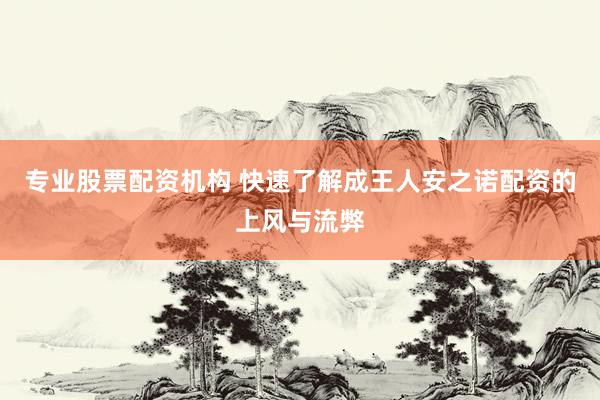 专业股票配资机构 快速了解成王人安之诺配资的上风与流弊