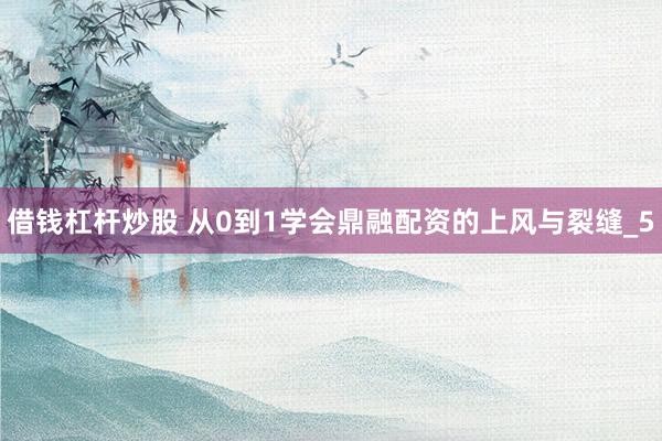 借钱杠杆炒股 从0到1学会鼎融配资的上风与裂缝_5