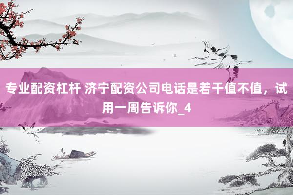 专业配资杠杆 济宁配资公司电话是若干值不值，试用一周告诉你_4