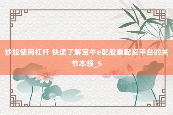炒股使用杠杆 快速了解宝牛e配股票配资平台的关节本领_5