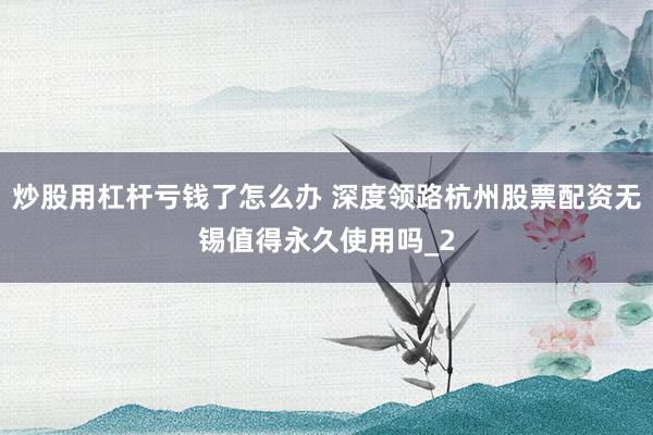 炒股用杠杆亏钱了怎么办 深度领路杭州股票配资无锡值得永久使用吗_2