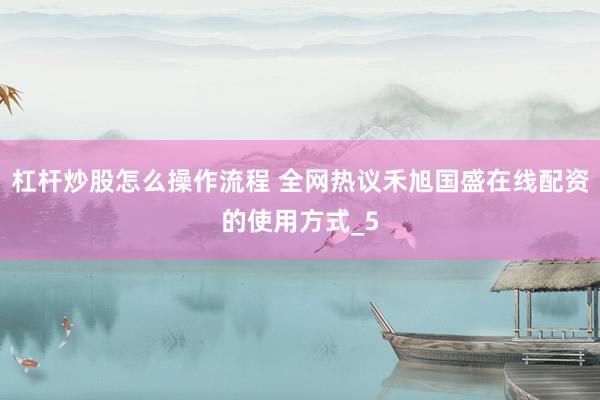 杠杆炒股怎么操作流程 全网热议禾旭国盛在线配资的使用方式_5
