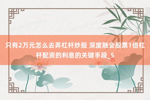 只有2万元怎么去弄杠杆炒股 深度融会股票1倍杠杆配资的利息的关键手段_5